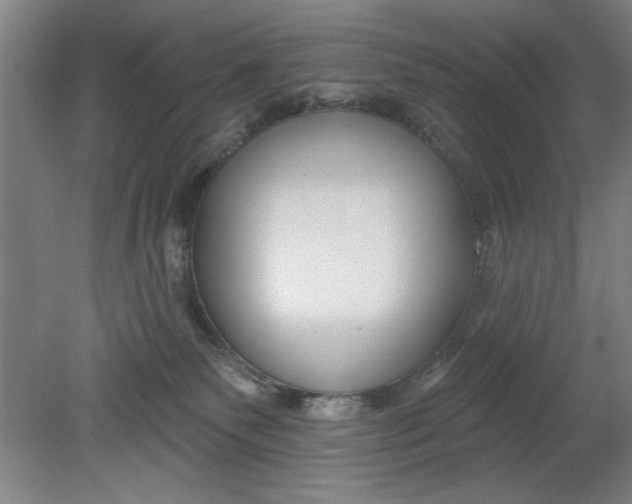 X0000080790135200701021234