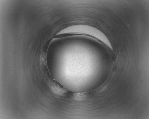 X0000080790141200701021234