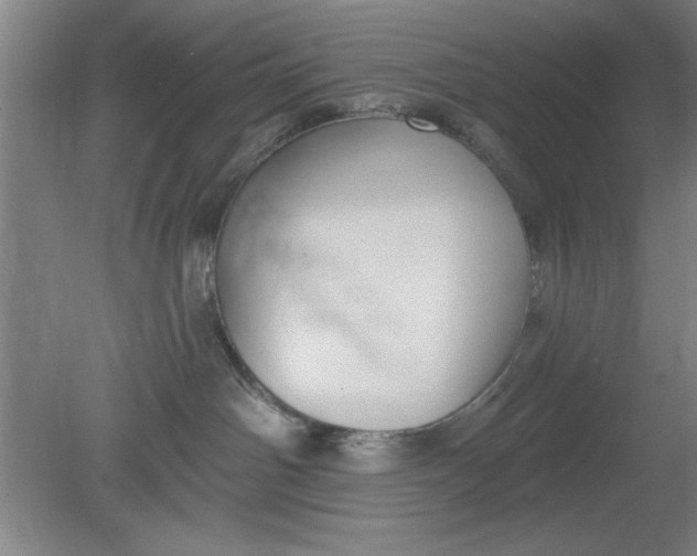 X0000080790142200701021234