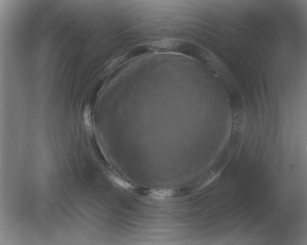 X0000080790143200701021234