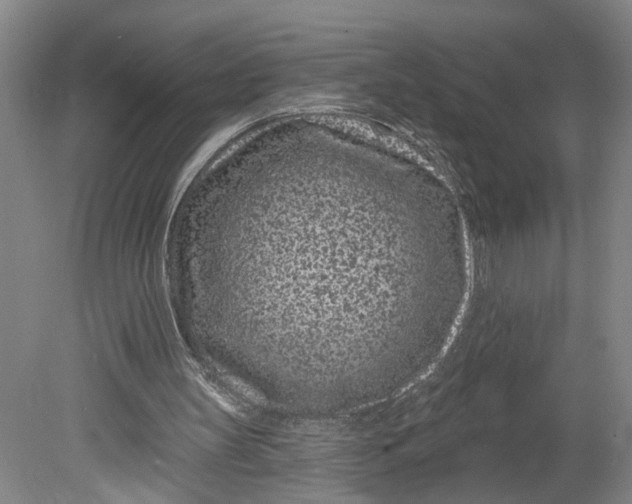 X0000080790147200701021233