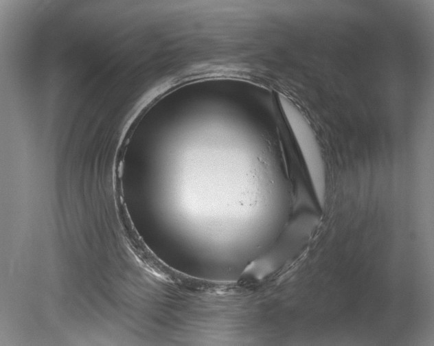 X0000080790148200701021233