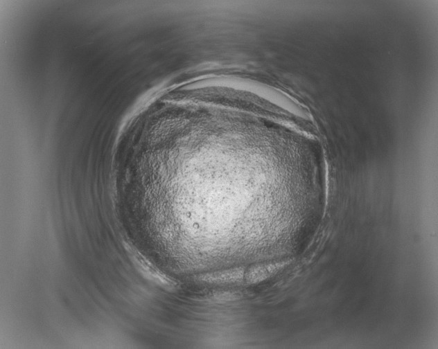 X0000080790149200701021233