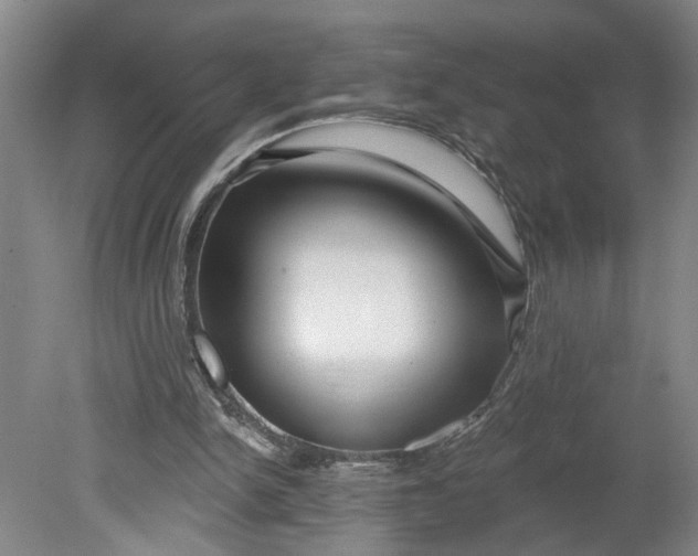 X0000080790150200701021233