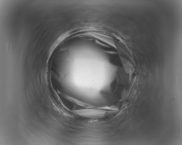 X0000080790152200701021233