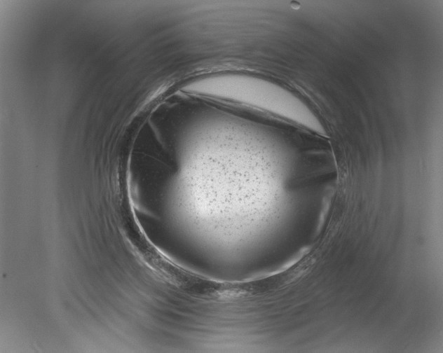 X0000080790158200701021233
