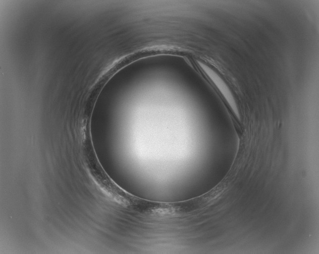 X0000080790160200701021233