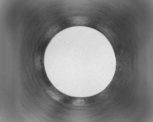X0000080790162200701021233