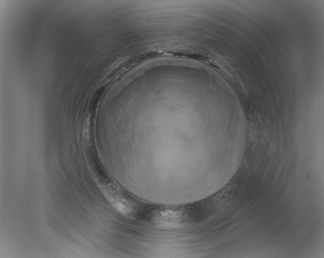 X0000080790163200701021233