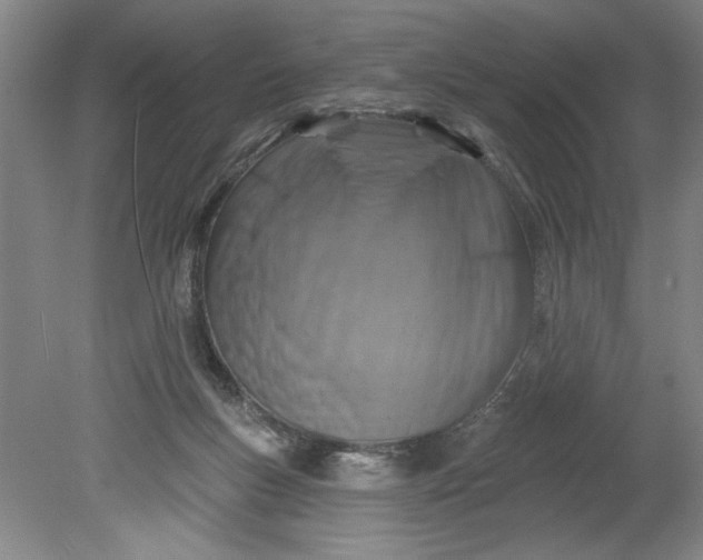 X0000080790167200701021233