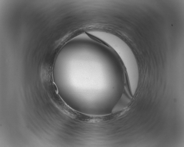 X0000080790168200701021233