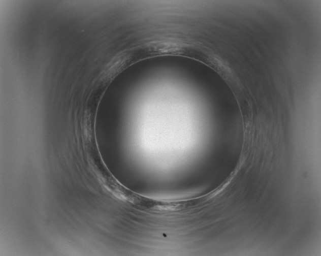 X0000080790170200701021233