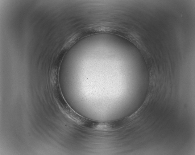 X0000080790171200701021233