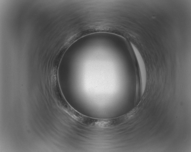 X0000080790172200701021233