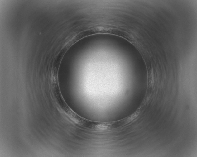 X0000080790176200701021233