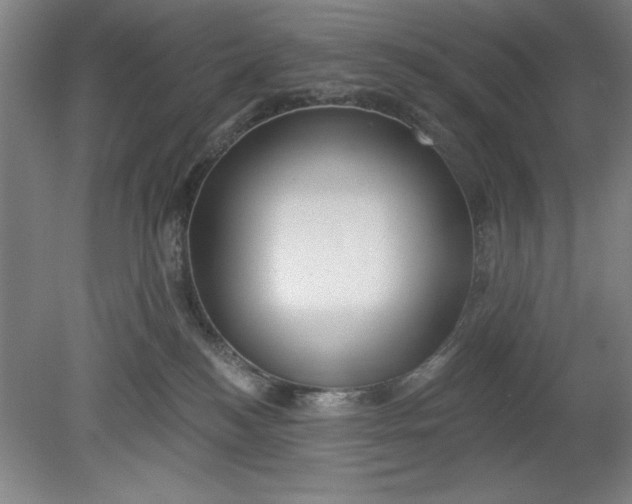 X0000080790184200701021233