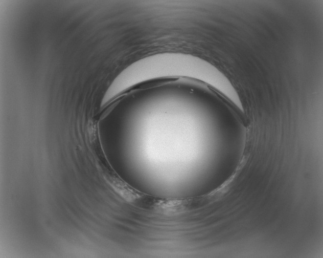 X0000080790186200701021233