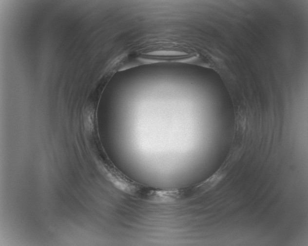 X0000080790188200701021233