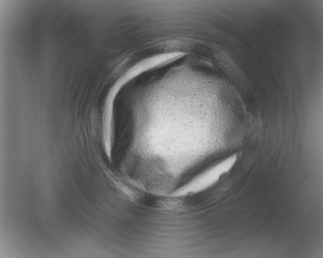 X0000080790189200701021233