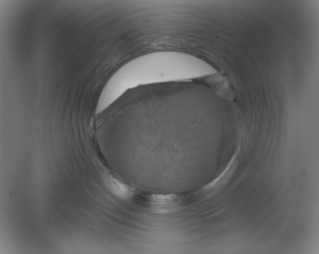 X0000080790192200701021234
