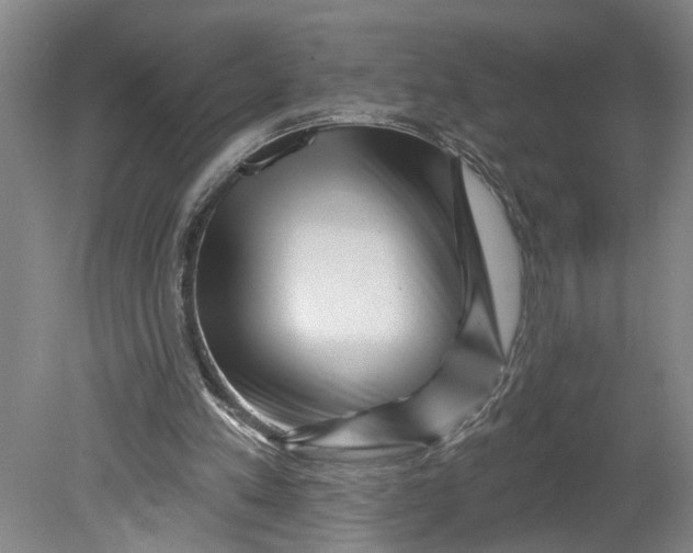 X0000080790197200701021233