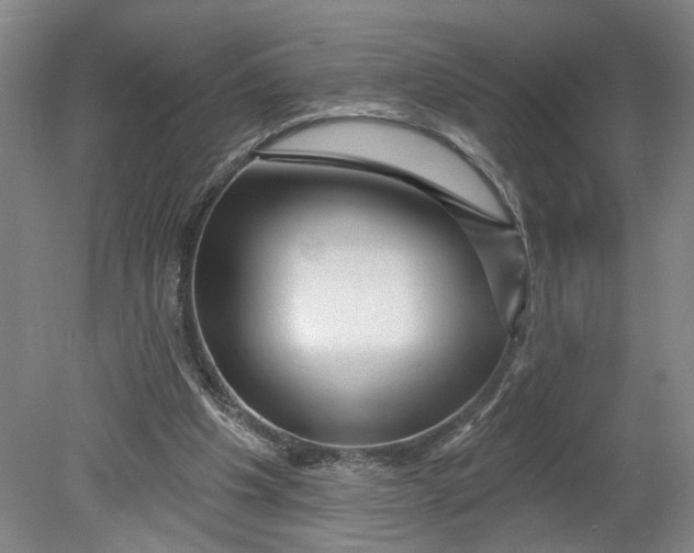 X0000080790201200701021233