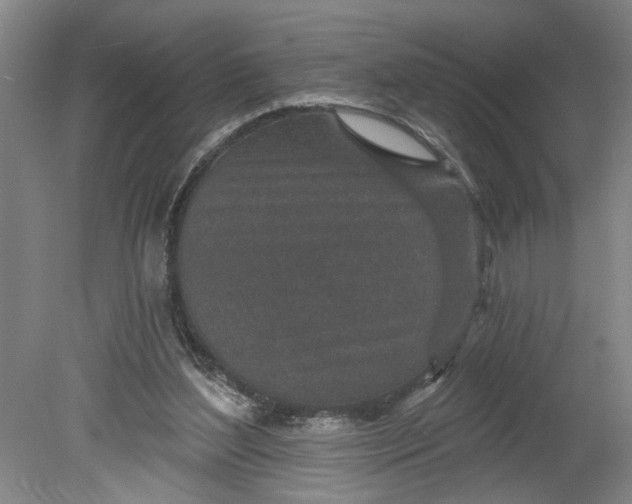 X0000080790204200701021233