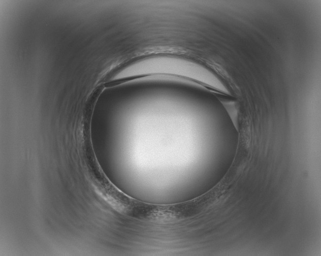 X0000080790207200701021232