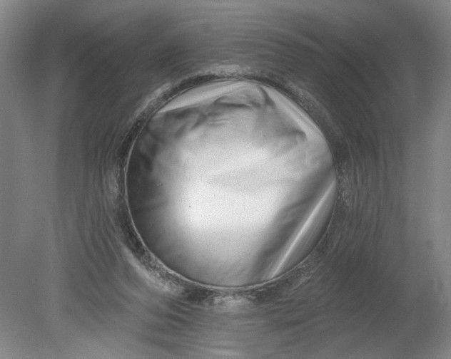 X0000080790208200701021232
