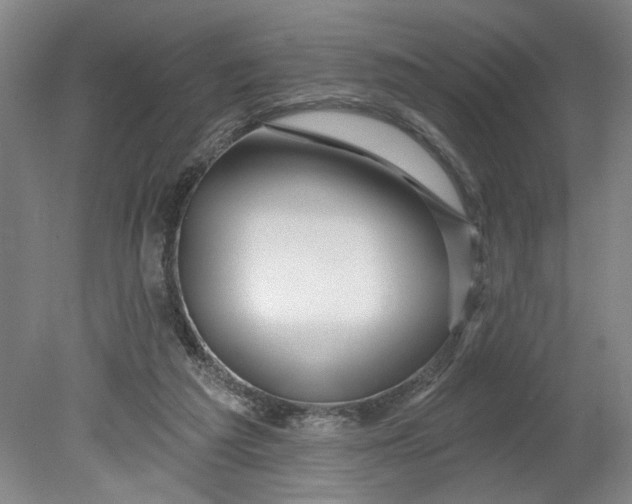 X0000080790209200701021232