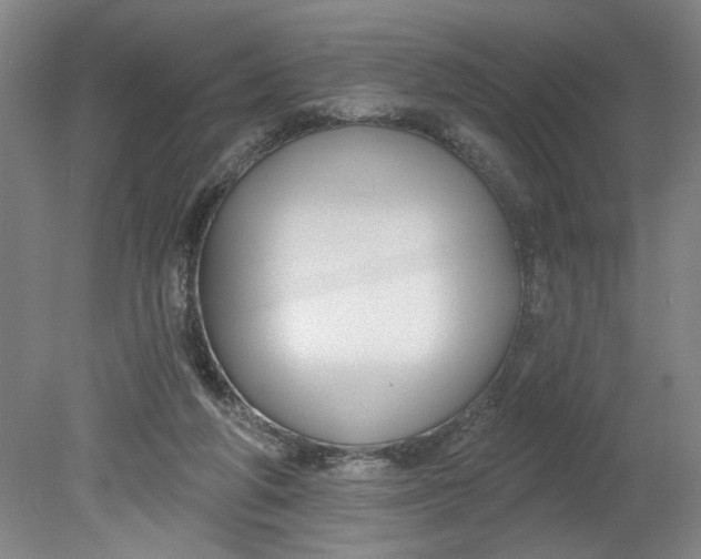 X0000080790210200701021232