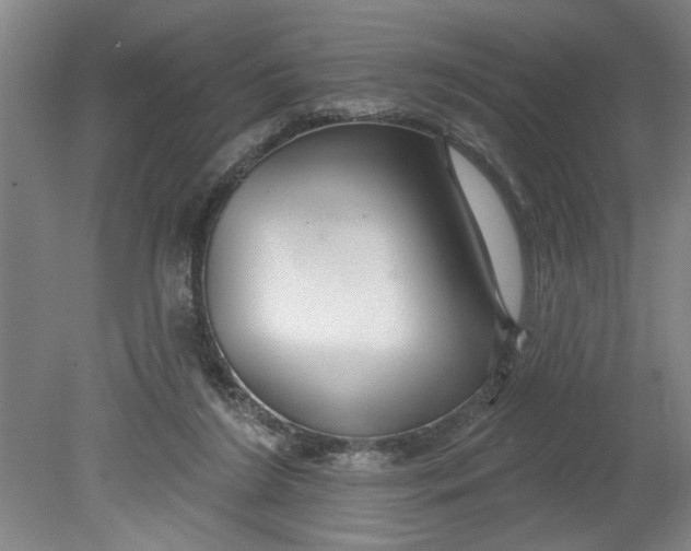 X0000080790212200701021232