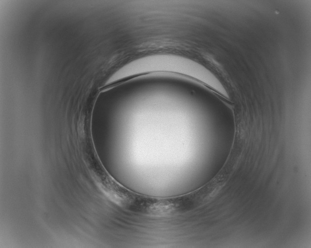 X0000080790213200701021232