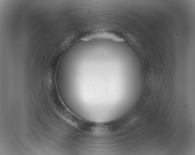 X0000080790215200701021232