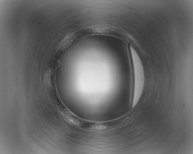 X0000080790217200701021232