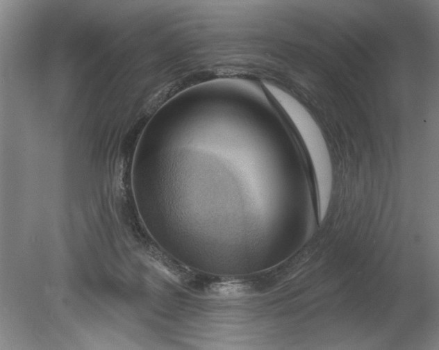 X0000080790219200701021232