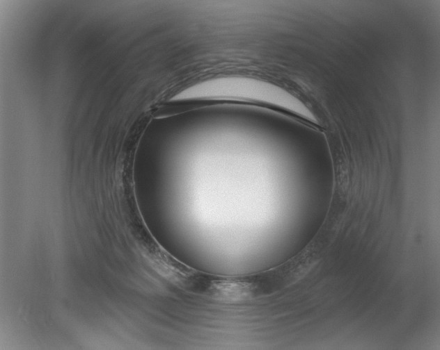 X0000080790221200701021232