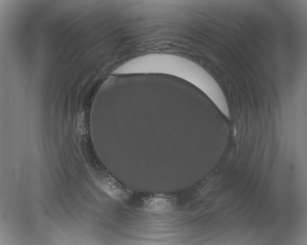 X0000080790224200701021232