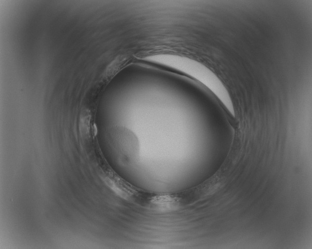 X0000080790231200701021232