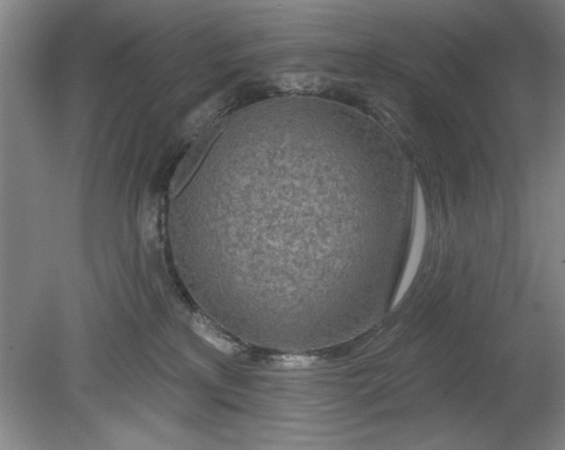 X0000080790233200701021232