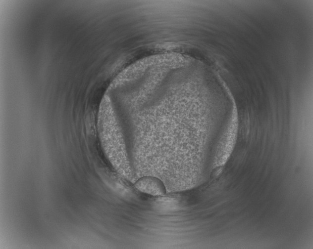 X0000080790236200701021232