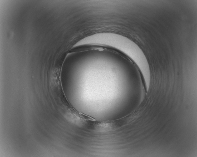 X0000080790237200701021232