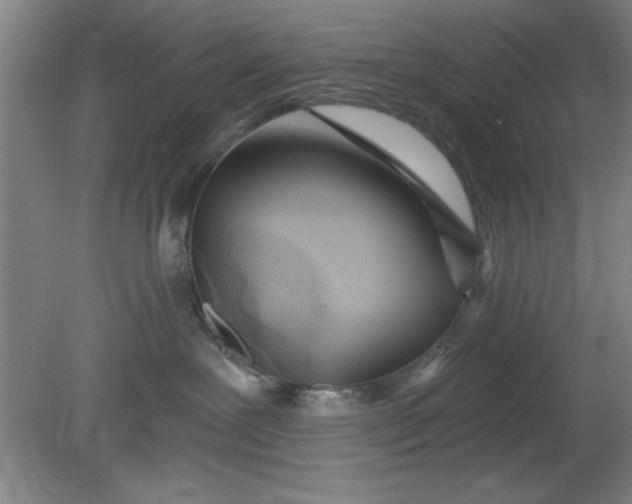 X0000080790239200701021232