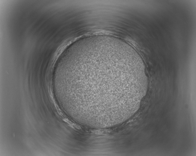 X0000080790241200701021231