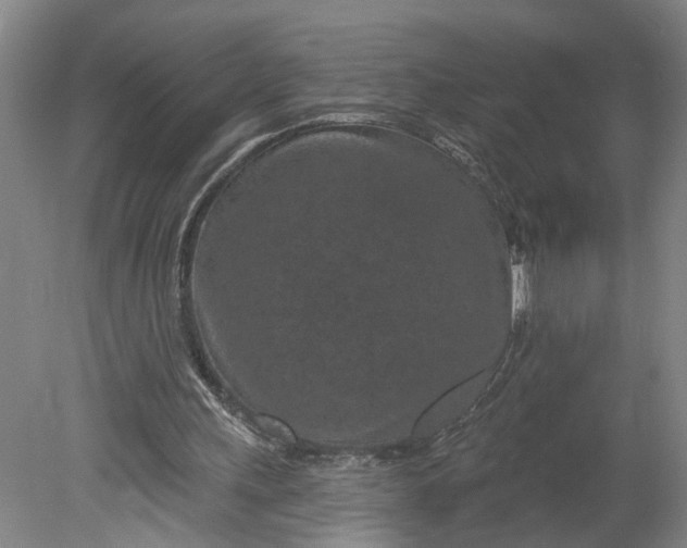 X0000080790243200701021231