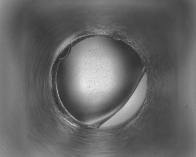 X0000080790246200701021231