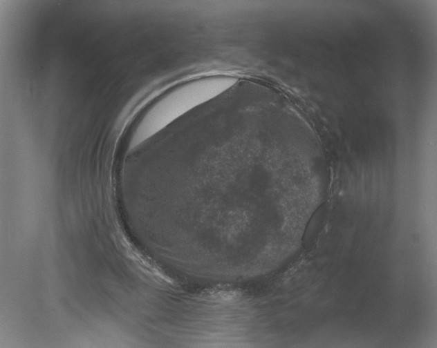 X0000080790247200701021231