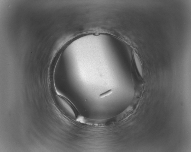 X0000080790248200701021231
