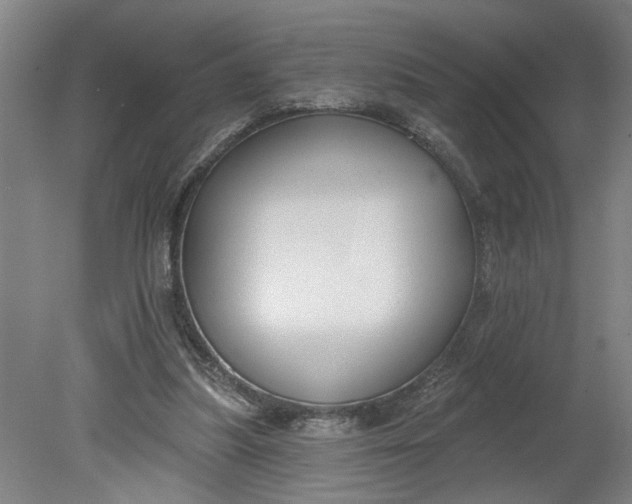 X0000080790251200701021231