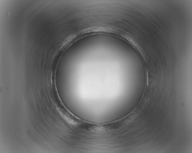 X0000080790253200701021231